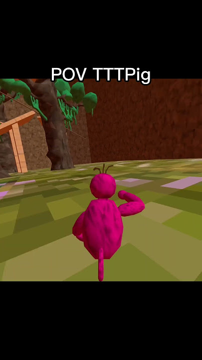 POV How TTTPig does things #gorillatag #shorts