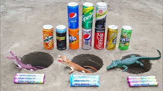 Experiment  Crocodile VS Mentos, Cola, Fanta, Pepsi, Mtn Dew, Yedigün and Fruko Underground 21