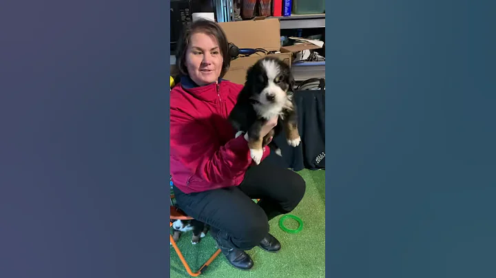 Janice Interview