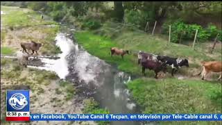 Drenaje sanitario sigue siendo un fuerte foco de contaminación en el río de Tecpan