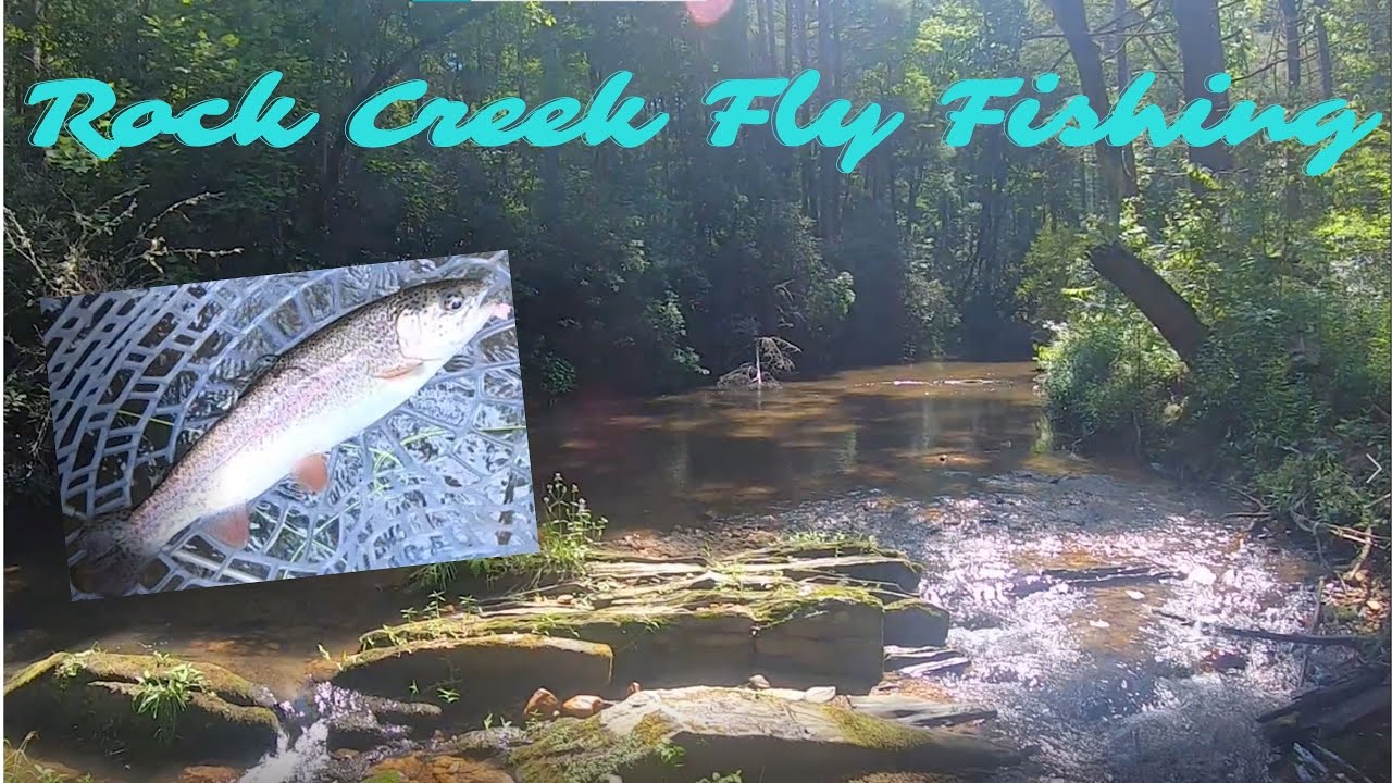 Fly Fishing Rock Creek for TROUT YouTube