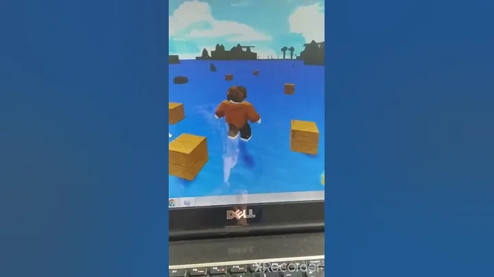 XD Bug