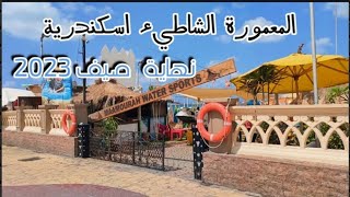 شواطيء المعمورة إسكندرية اليوم 9/20|الاسعار وحالة البحر