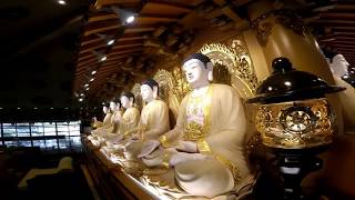 BLIA YAD Japan Asian Regional Conference 2017 with GoPro Hero Session