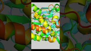 The Ramachandran Plot: a simple chart that changed molecular biology forever. 🧬✨