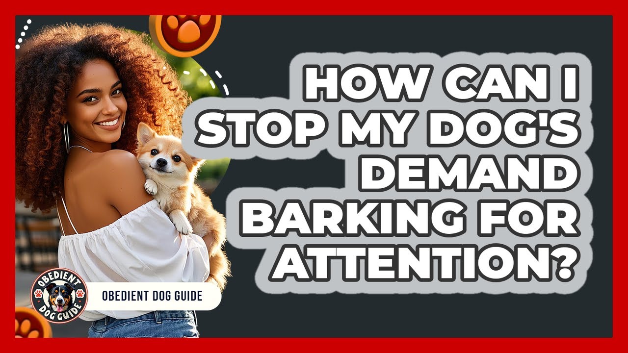 How Can I Stop My Dog's Demand Barking For Attention? - Obedient Dog Guide