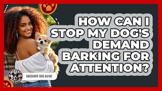 How Can I Stop My Dog's Demand Barking For Attention - Obedient Dog Guide