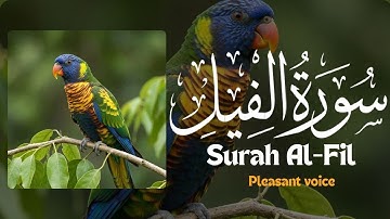 Pleasant voice Surah Al Fil | سورة الفيل