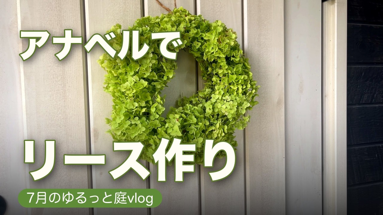 アナベルのリースを作る雨の日の庭vlog - YouTube
