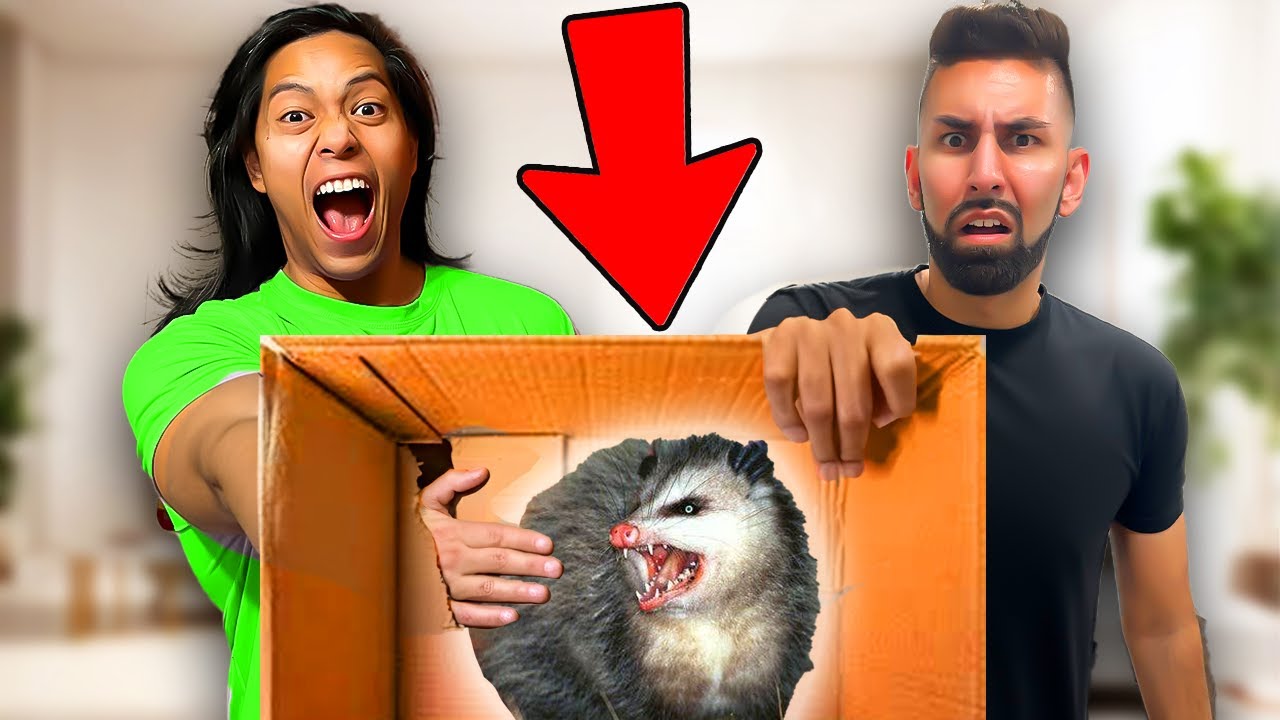 WHAT'S IN THE BOX Challenge?!