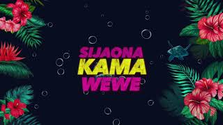 Walter Chilambo -Sijaona (Official Video Lyrics)