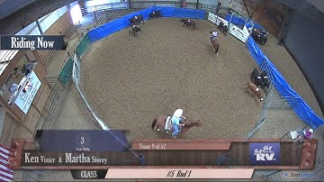 Big Sky Ranch Sorting Saddle Series #5 - #5 - Round #1 - Ride #9