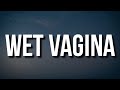 Doja Cat - Wet Vagina (Lyrics)