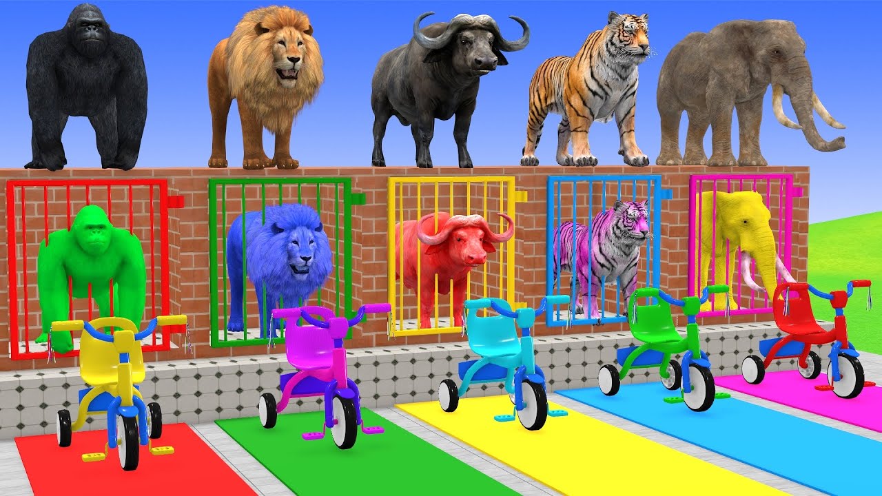 Long Slide Game With Cow Elephant Gorilla Hippopotamus Tiger 3d Animal Game Funny 3d Animals