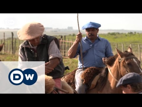 Gauchos protecting Argentina's Pampas | Global Ideas
