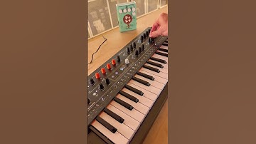 Ask and you shall recieve #babaoriley #minifreak #arturia #synth #moogaudio #shorts