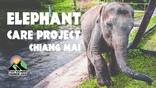 MUST do in CHIANG MAI - BMP Elephant Care Project | Two Wander Yonder Vlog