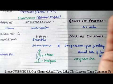 Lec# 12. Pheophyta - भूरा शैवाल (Phaeophyceae के लक्षण और प्रजनन)