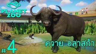 ควาย อลาสก้า - Planet Zoo #4