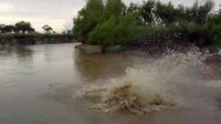 vera santa fe en el toba 2