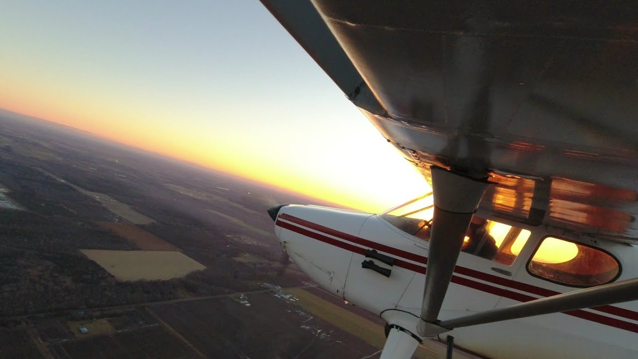 View of Flying with a Pet | US Department of Transportation