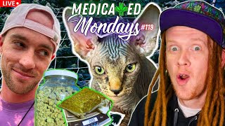 How Much Did We Grow? + New Kitty Is Here! | MEDICATED MONDAYS #119