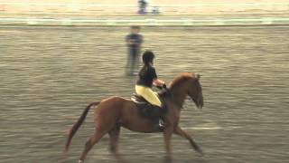 Singapore Turf Club Riding Centre