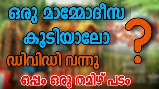New malayalam movie dvd updates #22