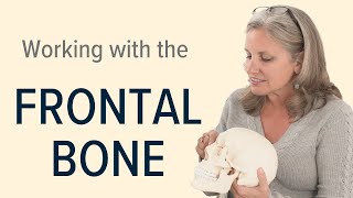 Working with the Frontal Bone