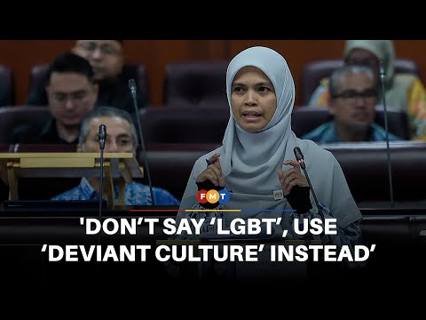 Don’t say ‘LGBT’, use ‘deviant culture’ instead, deputy minister tells public