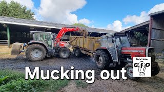 90s tractors feeding cows and mucking out.