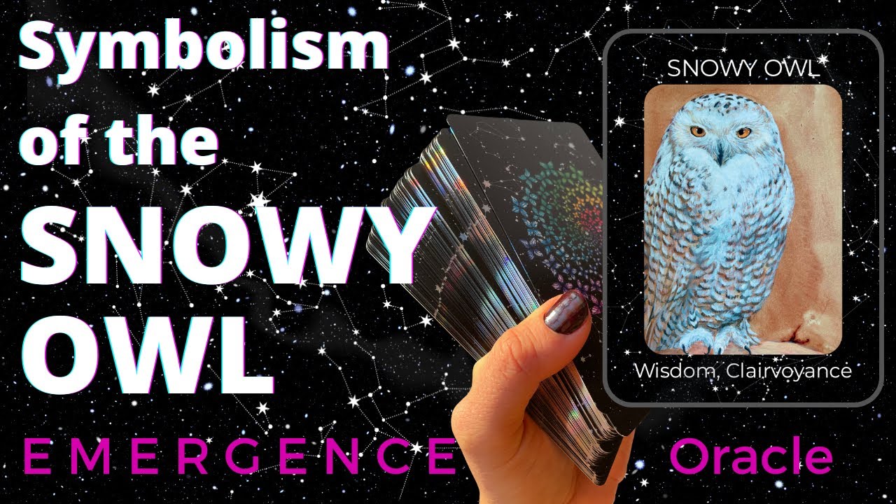 🦉 Owl symbolism & Spiritual Message: AWAKEN Your Inner Vision - from E M E  R G E N C E Oracle✨ - YouTube