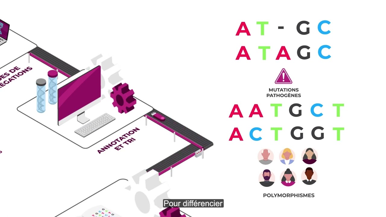 Qu'est-ce que la plateforme bio-informatique de l'Institut Imagine ?