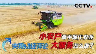 小农户牵手现代农业 大服务怎么做？ 「央视财经评论」 20200917 | CCTV财经
