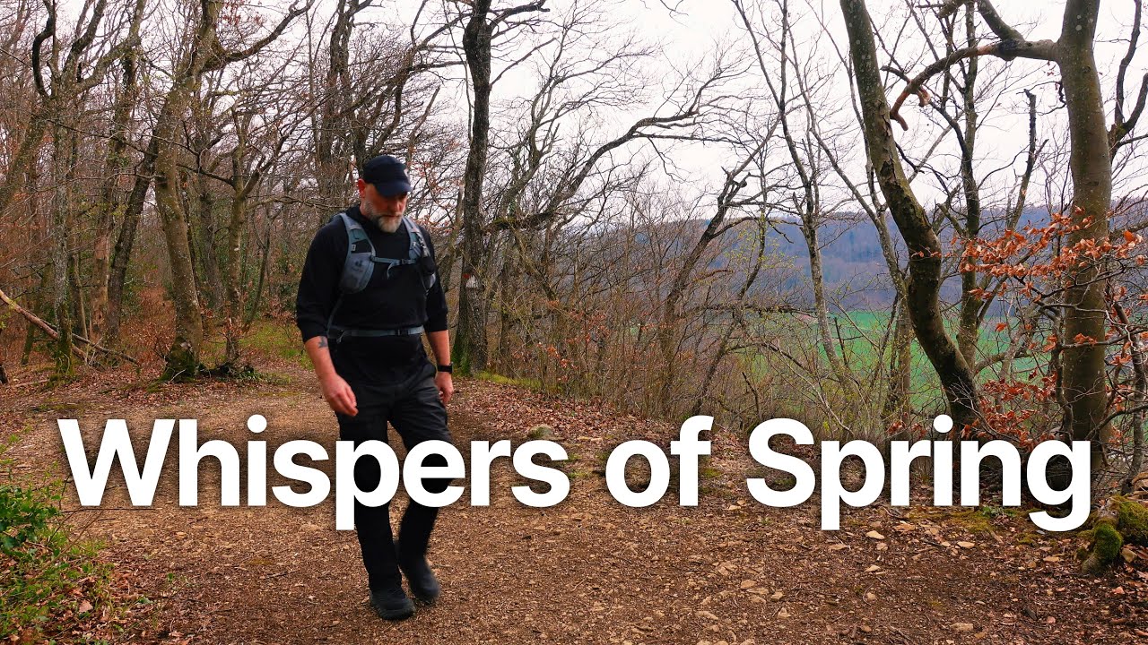 Whispers of Spring: Solo Day Hike Through Swiss Forest Amid Blooms and Wild Garlic