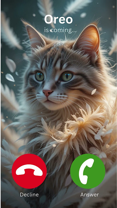 Oreo is calling #cat #ringtone #catlovers #meow #oreo