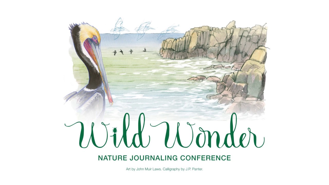 What is Nature Journaling? — Wild Wonder Foundation