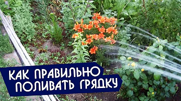 Как правильно поливать грядки и цветы лейкой и из шланга