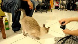 20110422_D5000 壁癌求助_0197.AVI