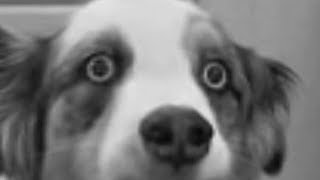 Why are we still here?