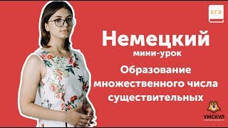 Образование множественного числа существительных | НЕМЕЦКИЙ ЕГЭ 2019 | Мини-урок | УМСКУЛ Образование множественного числа существительных | НЕМЕЦКИЙ ЕГЭ 2019 | Мини-урок | УМСКУЛ