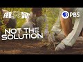 Deforestation and Reforestation Strategies