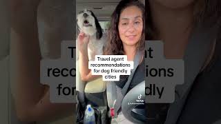 Most dog friendly vacation destinations in the US