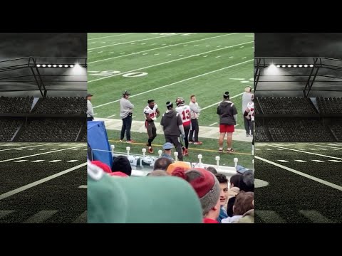 ANTONIO BROWN SIDELINE TEMPER TANTRUM - LAST GAME? TAKES OFF JERSEY THROWS INTO STAND & LEAVES FIELD