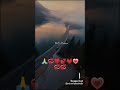 ❤❤❤❤❤