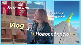 ✈️ [VLOG] Улетели с подругой в Новосибирск | Кпоп шоп и много тц