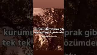 Ben De Artik Eki̇m Ayi Gi̇bi̇yi̇m Resimi