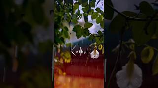 Kalai Kanavil Kadhal Konden Lyrics Mp3 Mp4 Download clip africa com