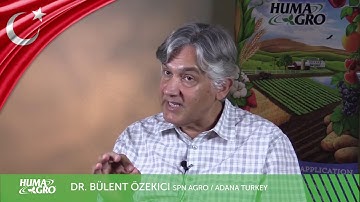 Citrus Trees Rescued After Frost – Video