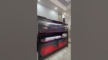 Vừa bàn giao HỒ CÔNG NGHỆ LỌC TRÀN TRÊN chơi cá Lóc tại Vũng Tàu #hocacongnghe #hocaloctrantren